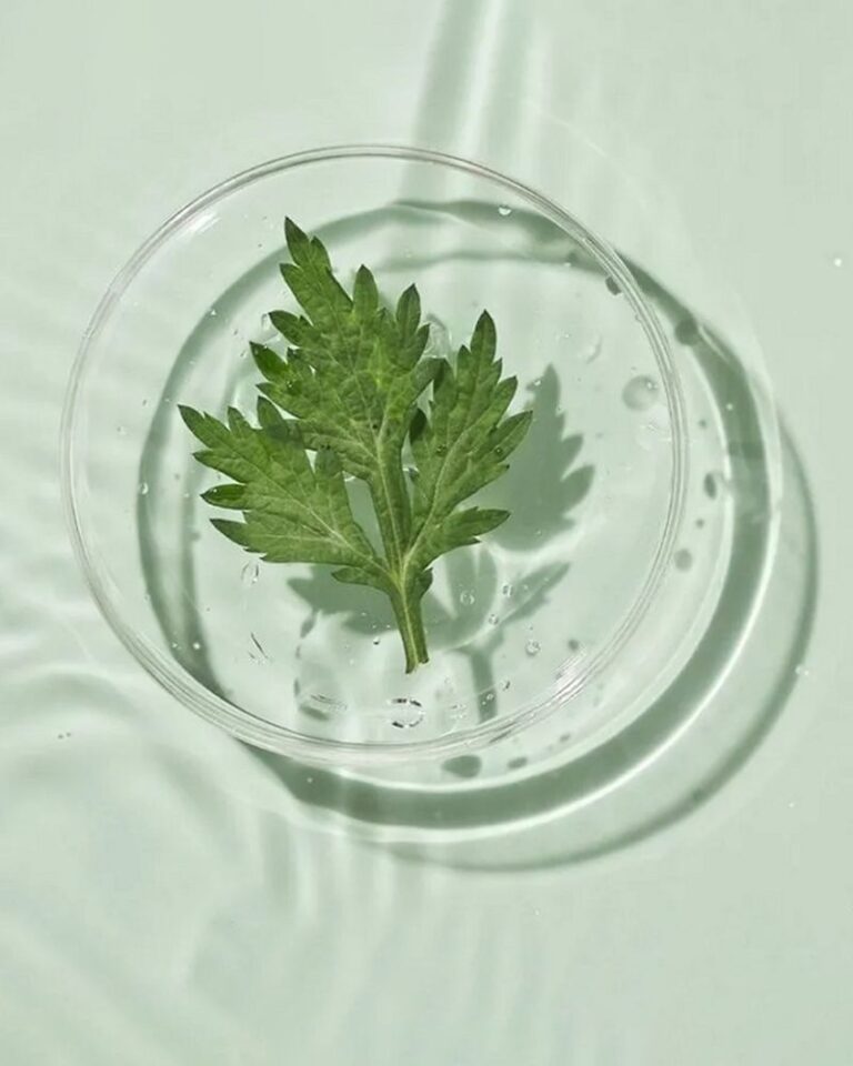 Mugwort: Keunikan, Manfaat Skincare, dan Cara Pakainya